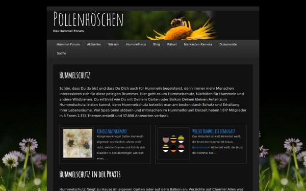 pollenhoeschen.de