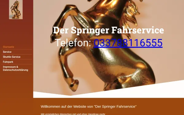 springer-fahrservice.de