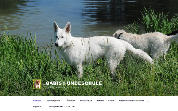 gabishundeschule.de