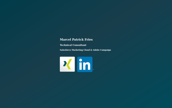mpfries.de
