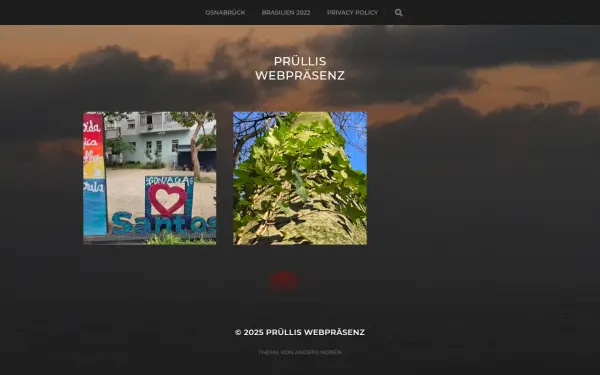pruelli.de