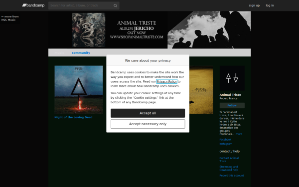animaltriste.bandcamp.com