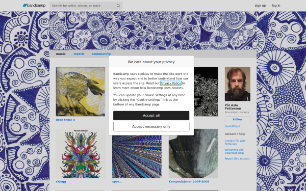 paalaslepettersen.bandcamp.com