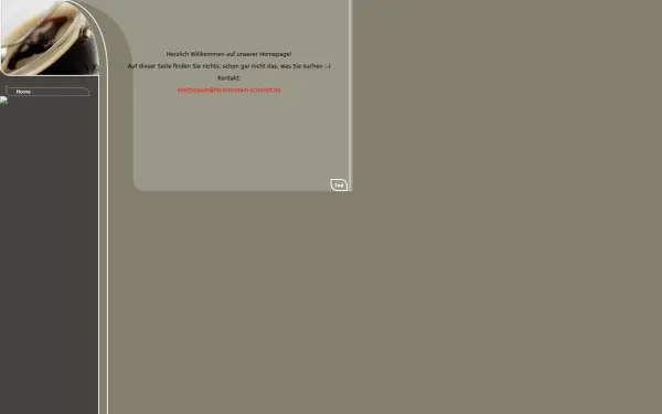 helmenstein-schmidt.de