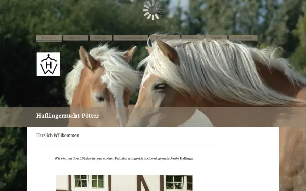 haflingerzucht-poetter.de