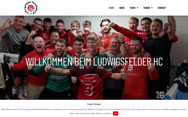 handball-ludwigsfelde.de