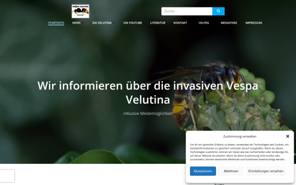 www.velutina.de