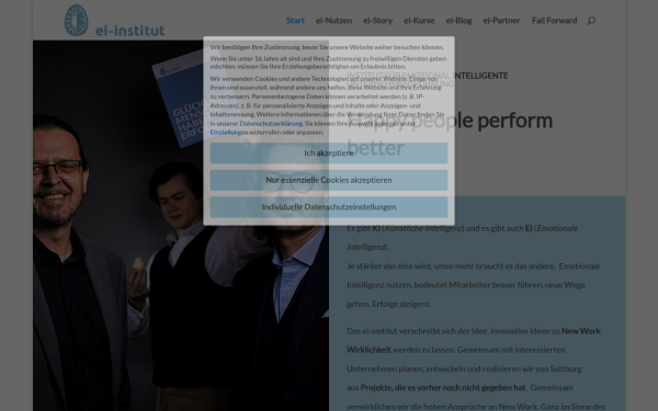 www.ei-institut.at