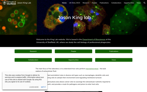 jasonkinglab.sites.sheffield.ac.uk