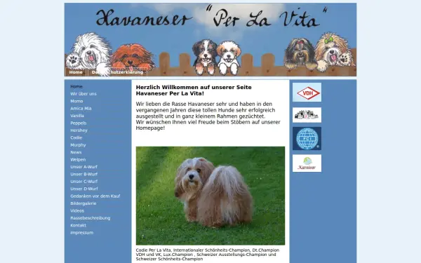 www.havaneser-perlavita.de
