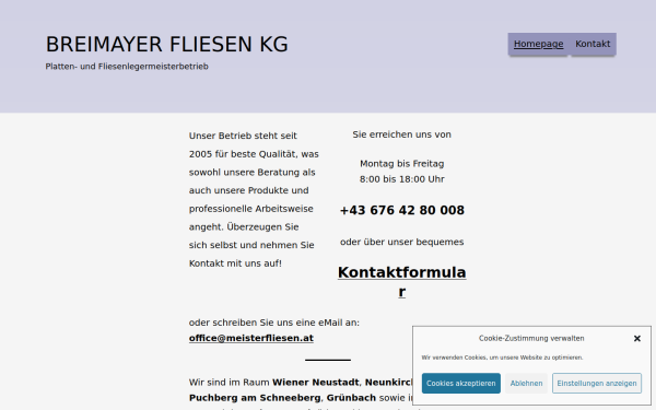 meisterfliesen.at