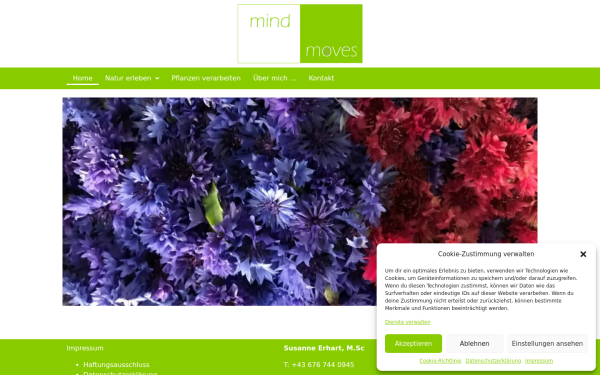 mindmoves.at