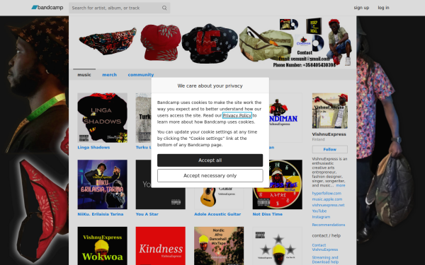 vishnuexpress.bandcamp.com