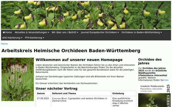 aho-bw.de