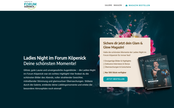 ladiesnight.berlin