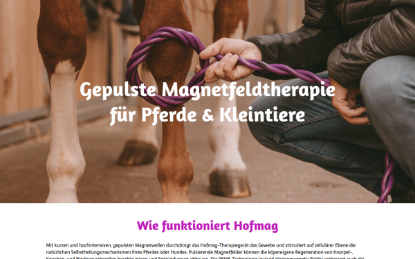 magnetfeldanwendung.at