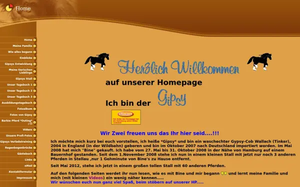 www.mein-gipsy.de