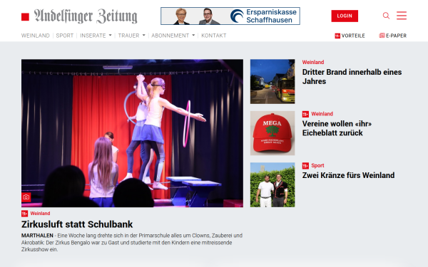 www.andelfinger.ch