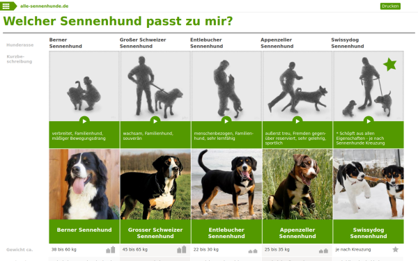 alle-sennenhunde.de