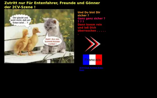 action-ents-saar.de