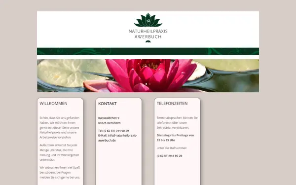 naturheilpraxis-awerbuch.de