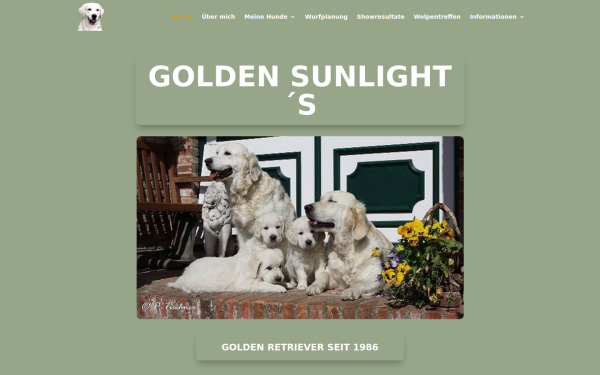 golden-sunlight.de
