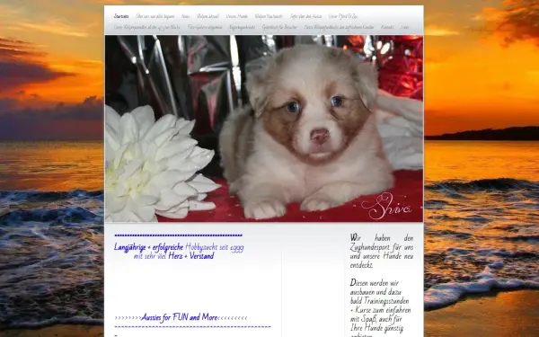www.flecken-aussies.com