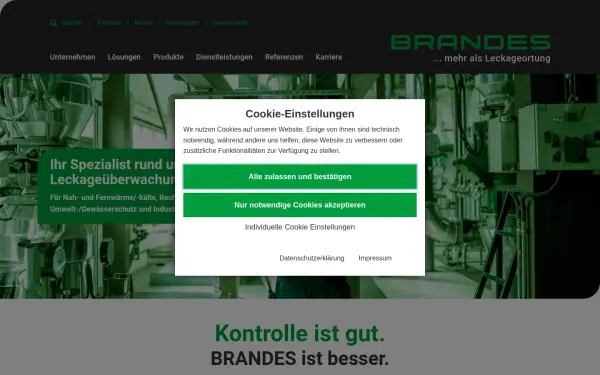 www.brandes.de