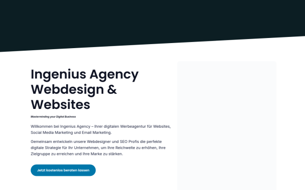 ingenius-agency.com