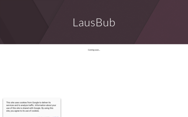 www.lausbub.app