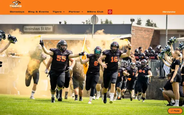 gotigers.de