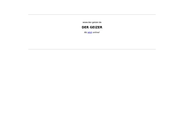 der-geizer.de