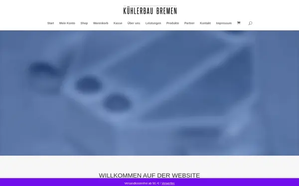bareisskuehler.de