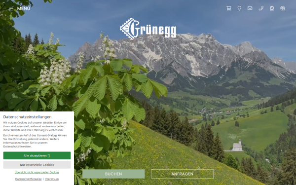 www.gruenegg.at