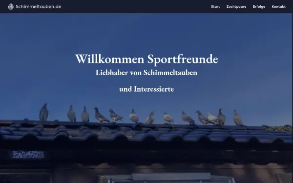 www.schimmeltauben.de