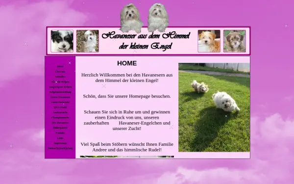 havi-engel.de