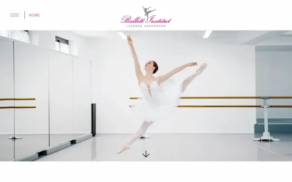 www.ballett-institut.de