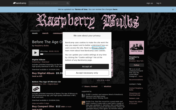 raspberrybulbs.bandcamp.com