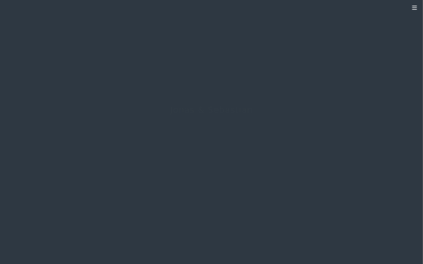 www.jonasundsebastian.de