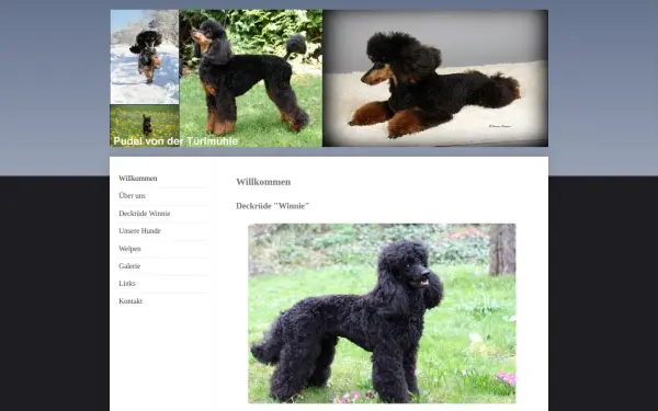 www.pudel-von-der-tuerlmuehle.de