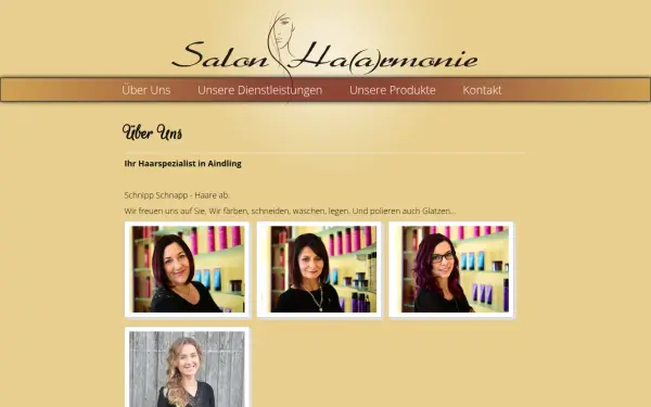 haarmonie-aindling.de