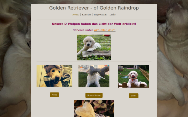 www.golden-raindrop.at