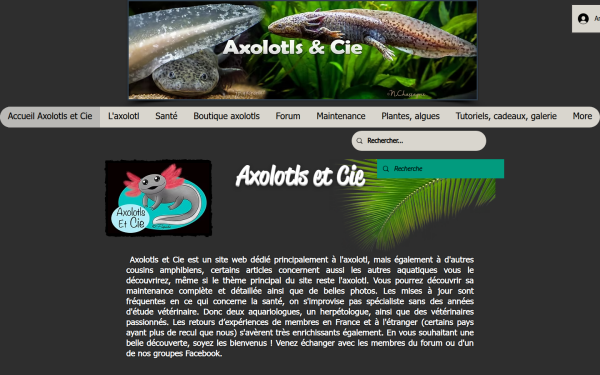de.axolotls-cie.com