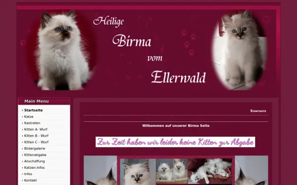 heilige-birma-vom-ellerwald.de