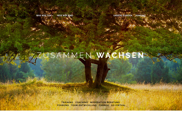 www.voehringerwilhelm.de