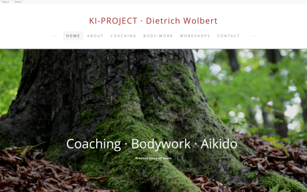 www.ki-project.com