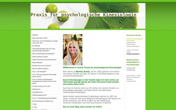 www.psychologische-kinesiologie-scholz.de