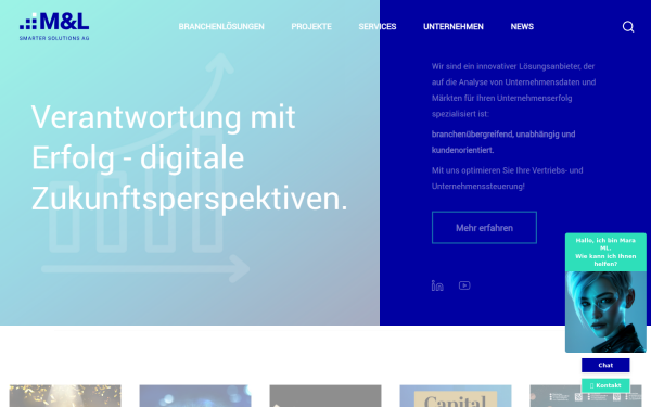 www.mlconsult.com