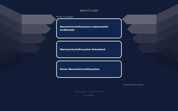 ami-ct.com