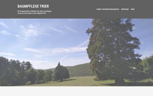 baumpflege-trier.de